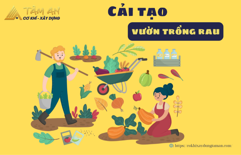 Cách cải tạo khu vườn trồng rau tại nhà đơn giản mà đẹp