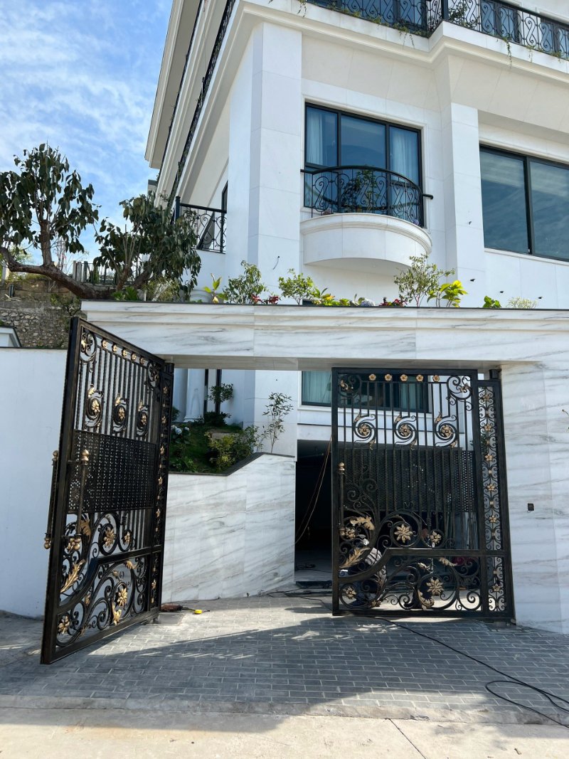 Mẫu cổng sắt mỹ thuật 2 cánh sắt đặc