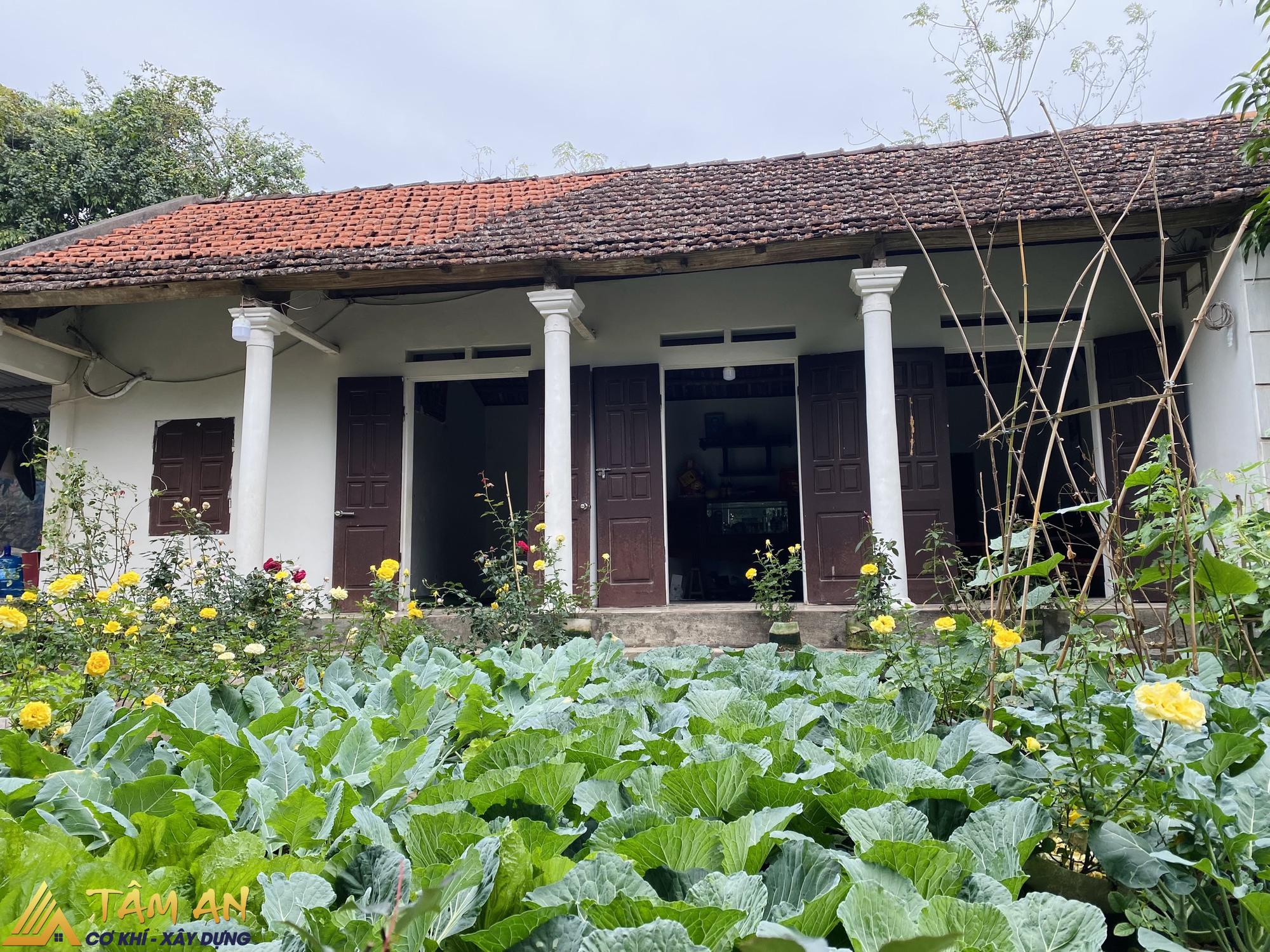Cách cải tạo khu vườn trồng rau tại nhà đơn giản mà đẹp 3 Lợi ích của việc cải tạo đất trồng rau