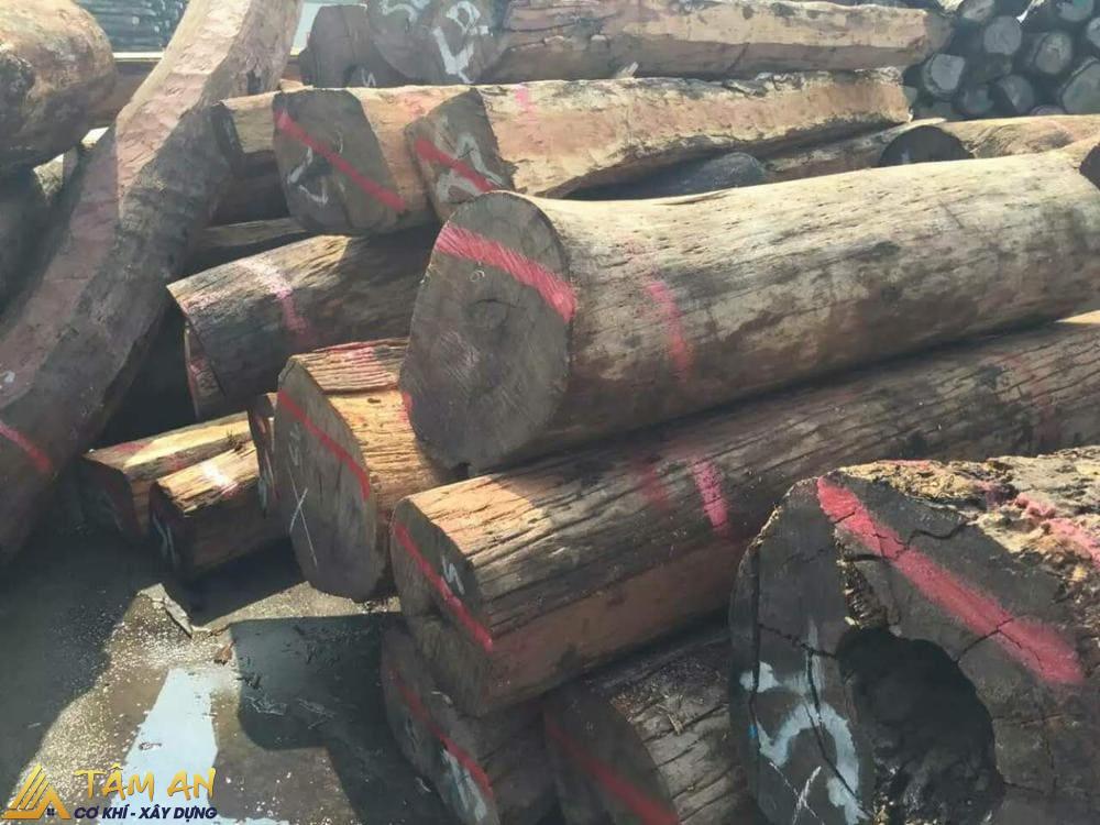 Gỗ tự nhiên là gì? Ưu và nhược điểm của gỗ tự nhiên 7 Gỗ hương xám