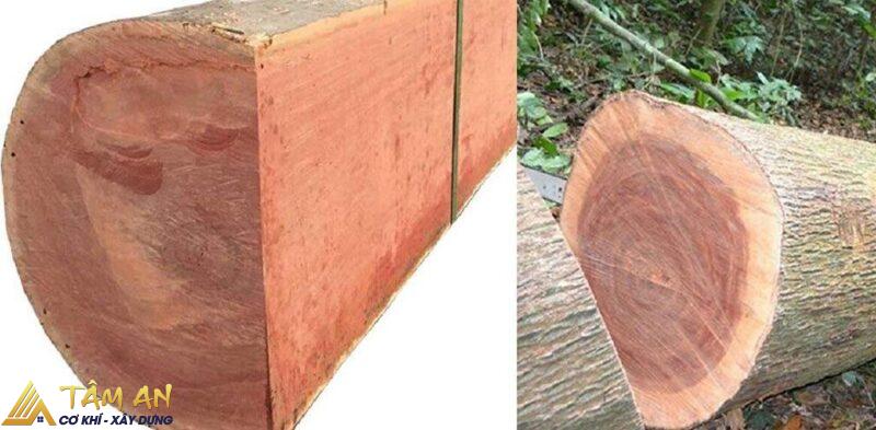 Gỗ tự nhiên là gì? Ưu và nhược điểm của gỗ tự nhiên 3 Gỗ xoan đào