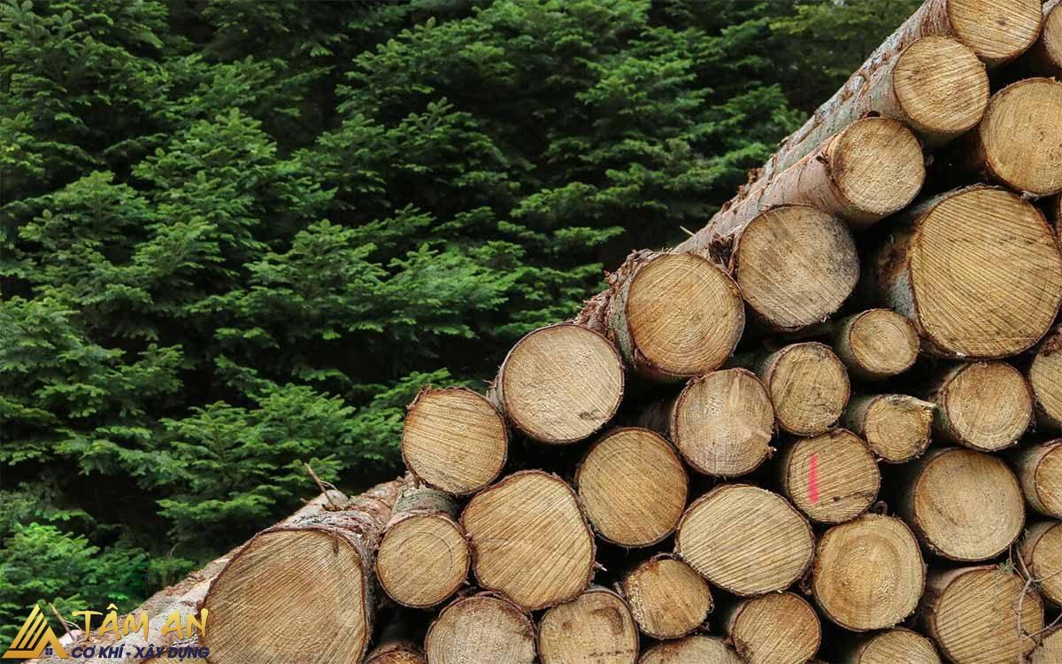 Gỗ tự nhiên là gì? Ưu và nhược điểm của gỗ tự nhiên 8 Kiểm tra chất lượng và loại gỗ